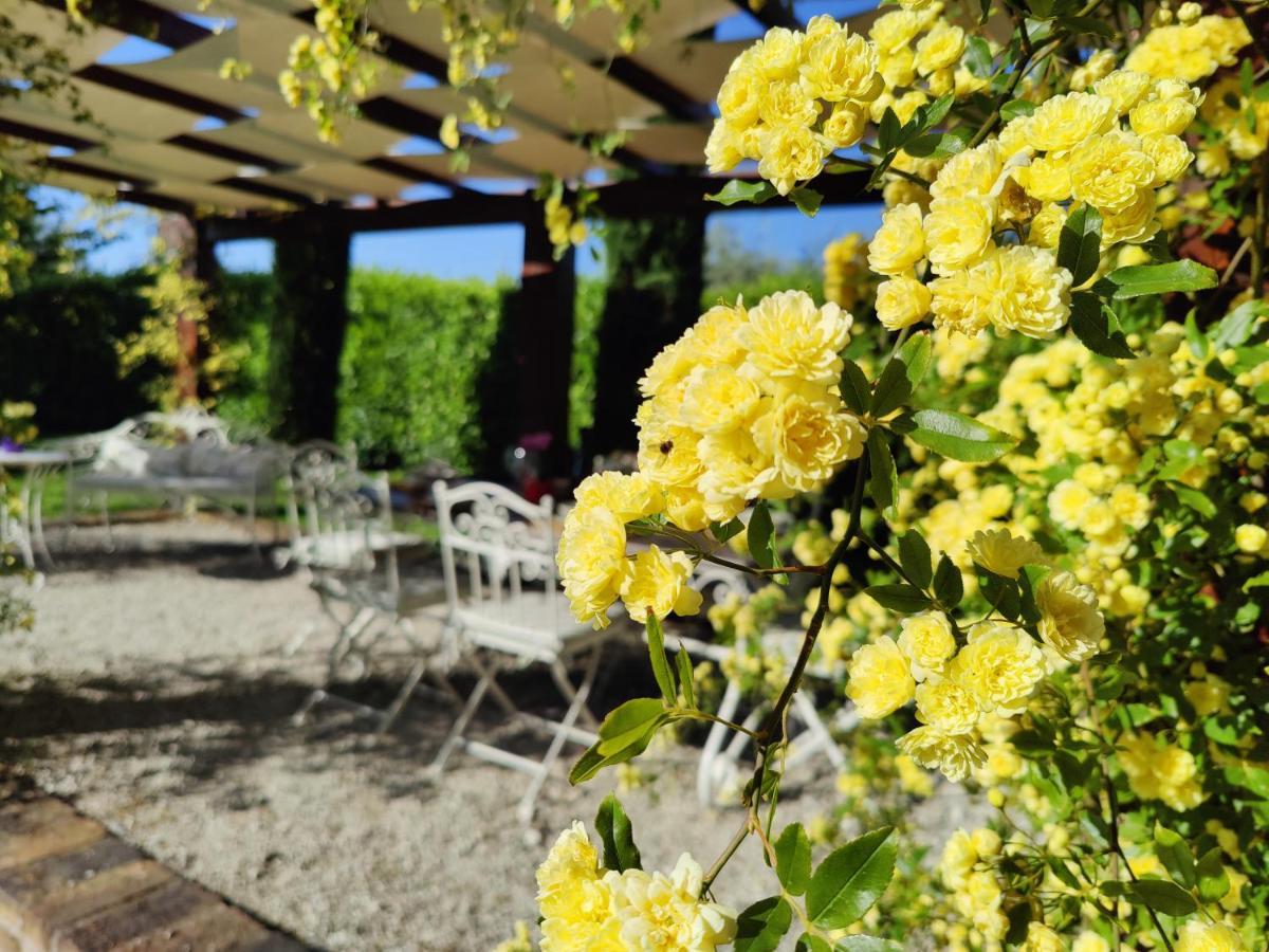 Ca' Le Cerque, Villa Surrounded By The Marche Nature Fossombrone Exterior photo