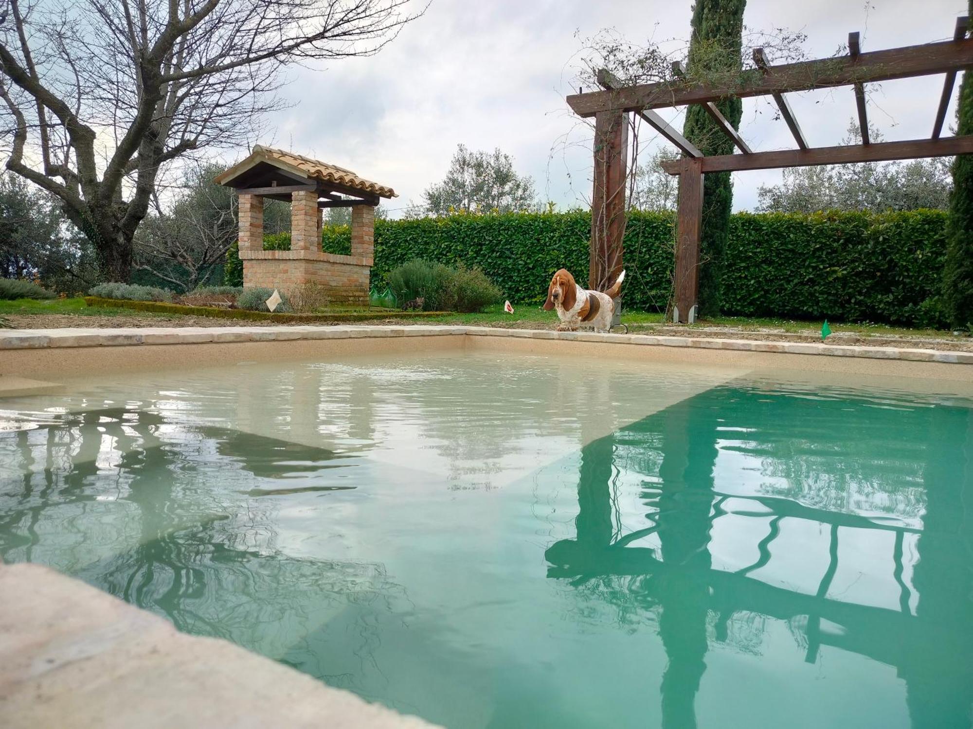 Ca' Le Cerque, Villa Surrounded By The Marche Nature Fossombrone Exterior photo